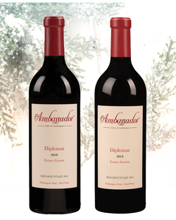 Under the Tree Gift Set