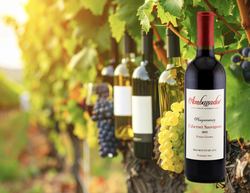 Wine Education Class