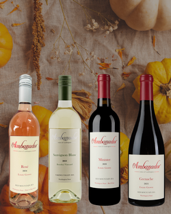 Gravy Train Four Pack